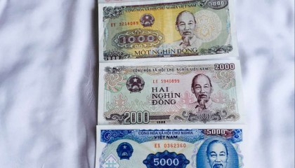 越南货币叫什么(天津格林国际幼儿园学费)