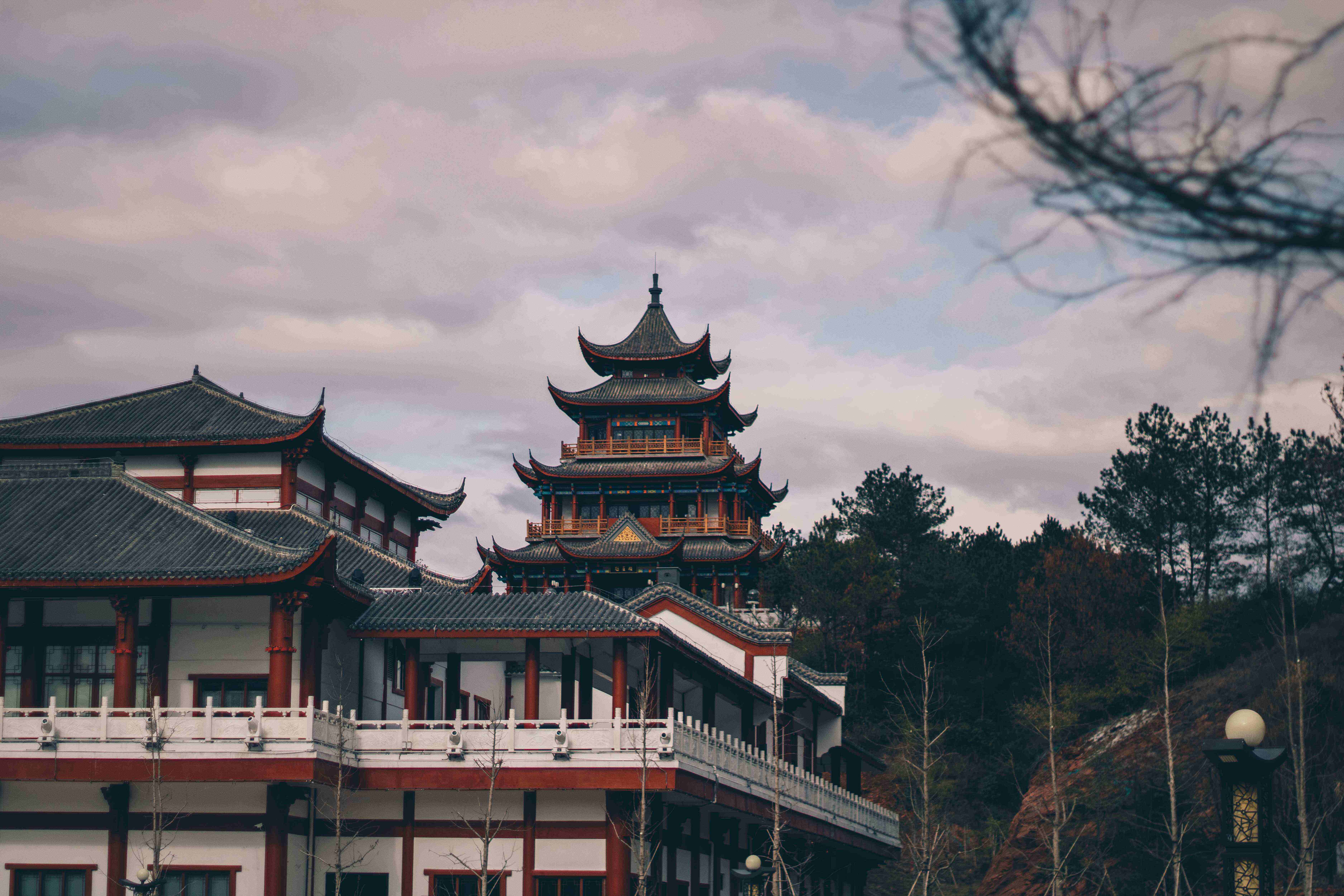 2025口碑最好的十大留学机构是哪个国家