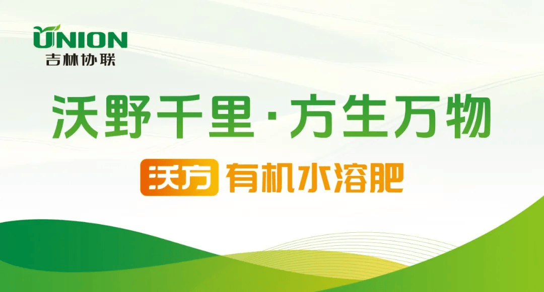 肥价上涨!今日复合肥/磷钾肥行情