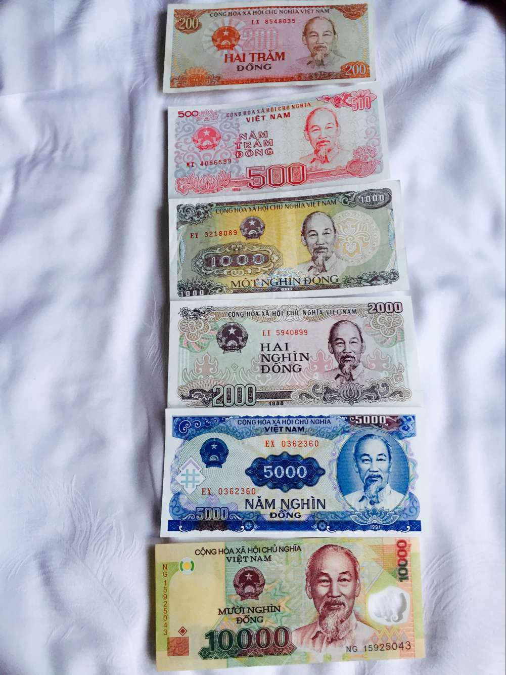 越南货币叫什么(天津格林国际幼儿园学费)